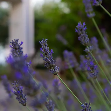 Disability-friendly With Free Parking Διαμέρισμα