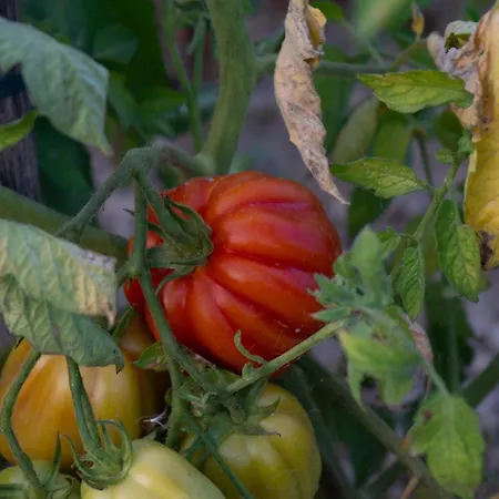 Διαμέρισμα Disability-friendly With Free Parking