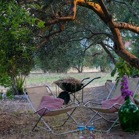 Διαμέρισμα Disability-friendly With Free Parking Τρογκίρ