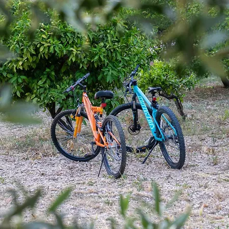 Διαμέρισμα Disability-friendly With Free Parking