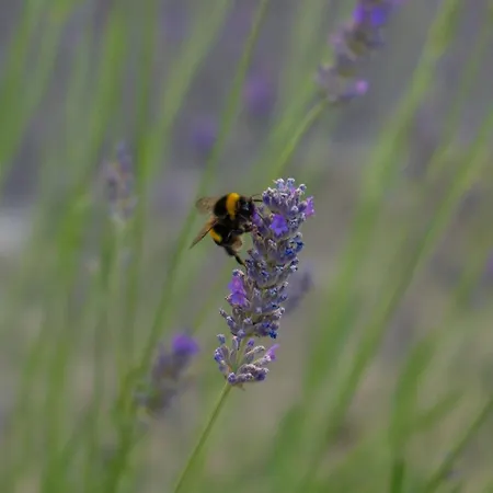 Disability-friendly With Free Parking *