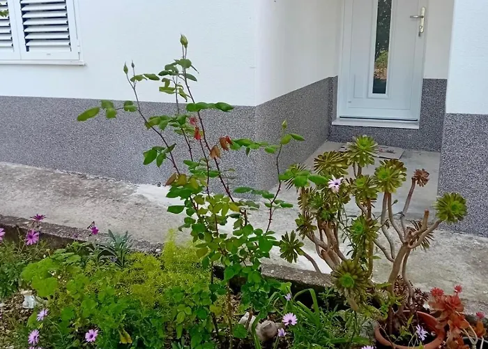 Apartament Disability-friendly With Free Parking *