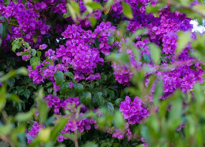 Disability-friendly With Free Parking Apartament *