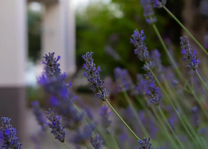 Disability-friendly With Free Parking Apartament