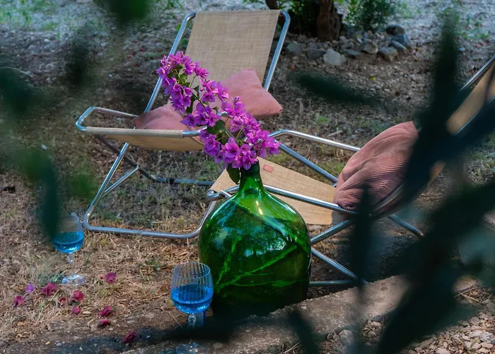 Apartament Disability-friendly With Free Parking *