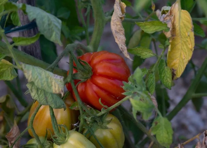 Apartament Disability-friendly With Free Parking