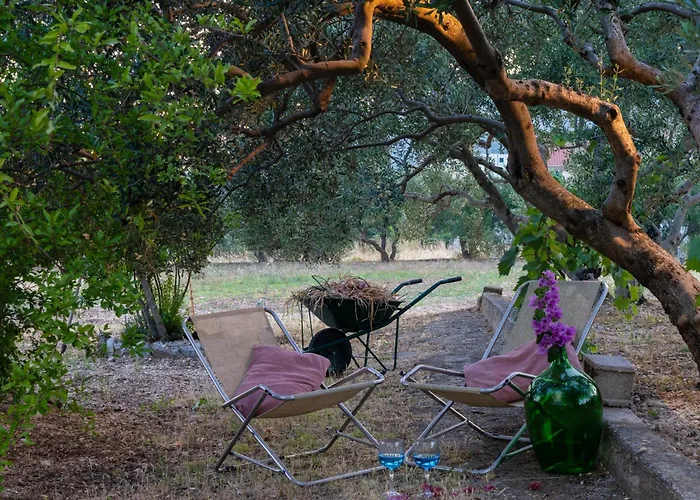 Appartement Disability-friendly With Free Parking Trogir