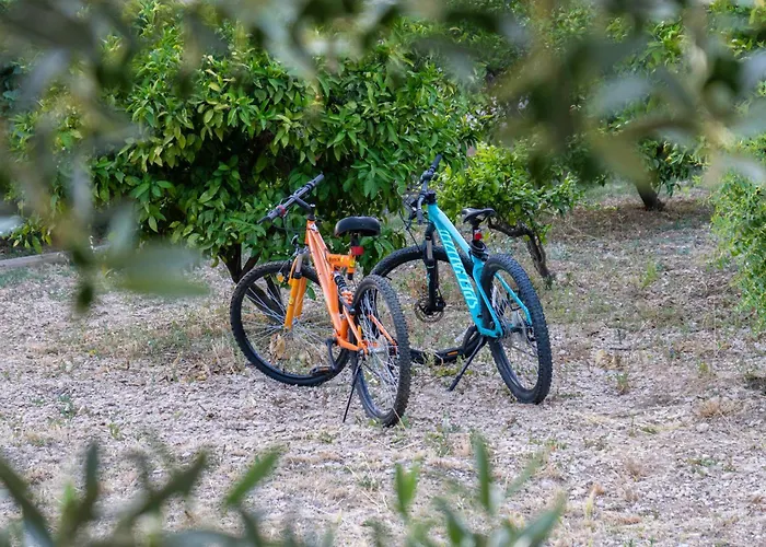 Apartament Disability-friendly With Free Parking