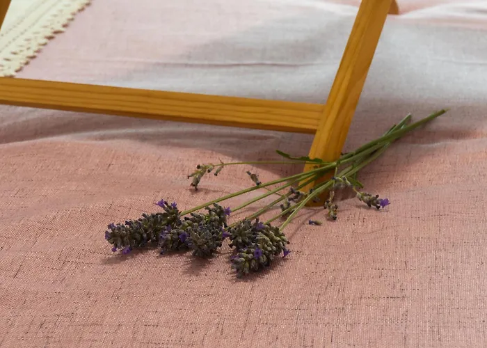 Disability-friendly With Free Parking Appartement