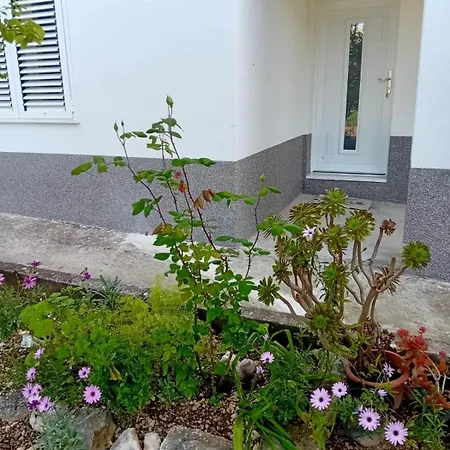 Apartment Disability-friendly With Free Parking *