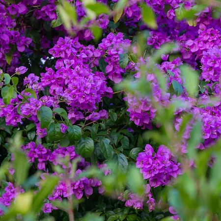 Disability-friendly With Free Parking Apartamento *