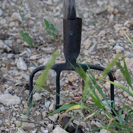 Disability-friendly With Free Parking Apartment