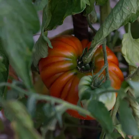 Disability-friendly With Free Parking Apartment *