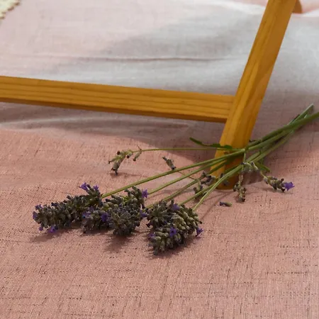 Disability-friendly With Free Parking Apartment