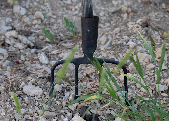 Disability-friendly With Free Parking Apartamento