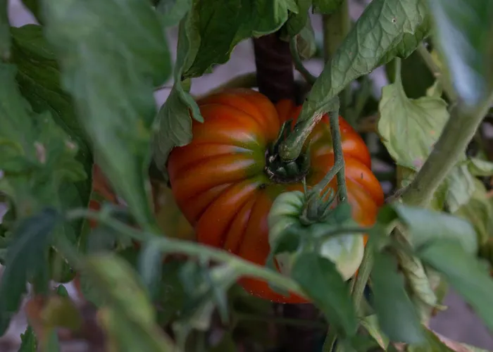 Disability-friendly With Free Parking Apartamento *